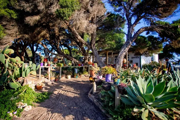 Hopetoun Beachside Caravan Park - Image 4